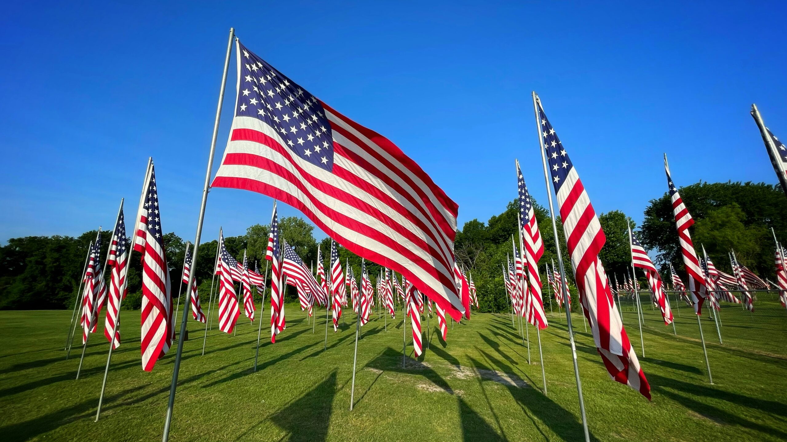 Imagen de banderas estadounidenses