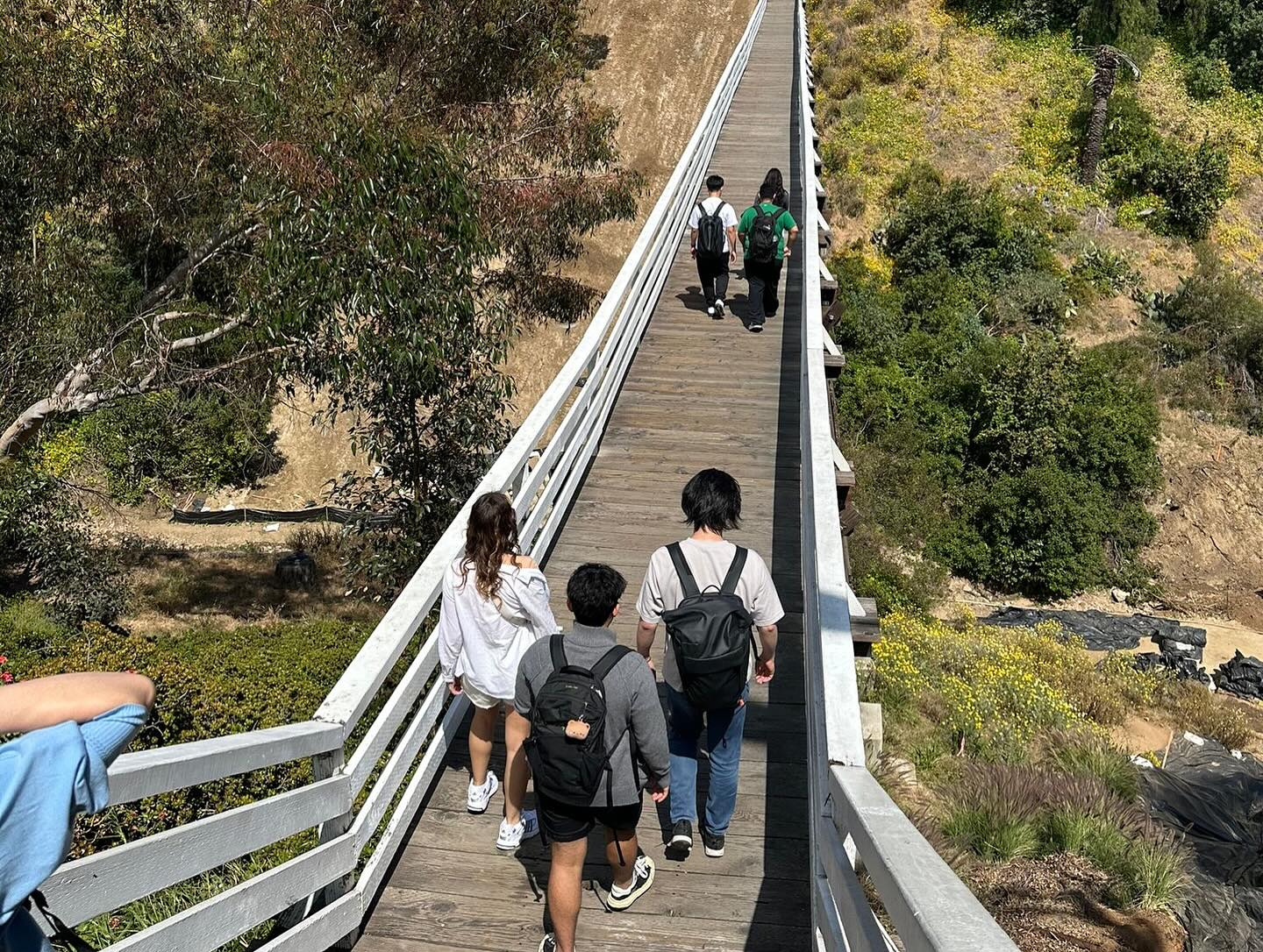 Estudiantes en un camino