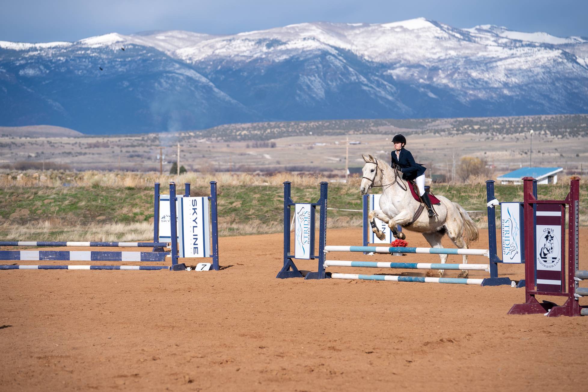 equitacion
