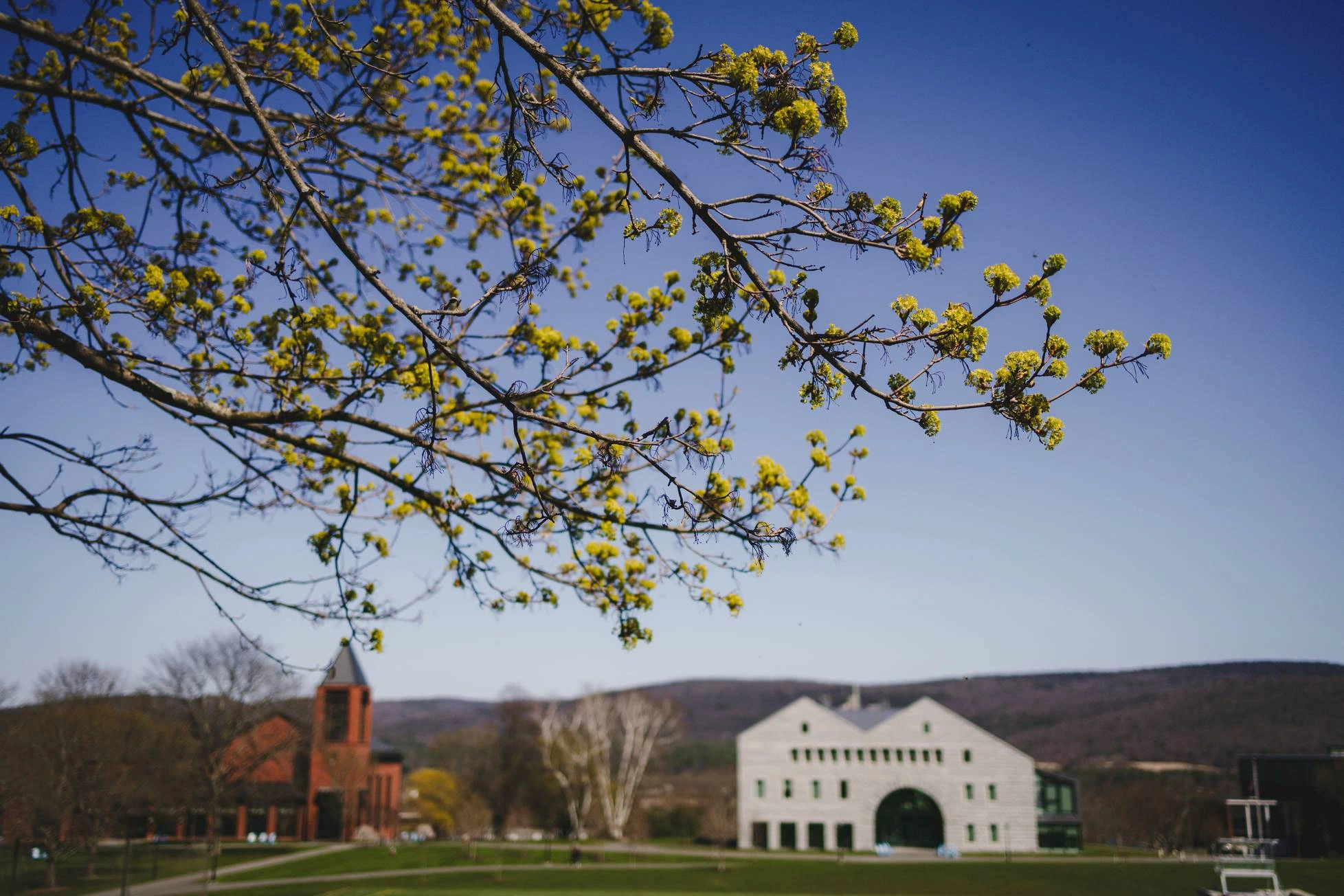 Campus de Northfield Mount Hermon en primavera